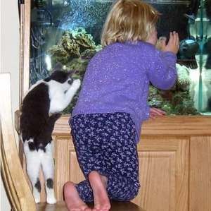 Meet your Posher, Theresa